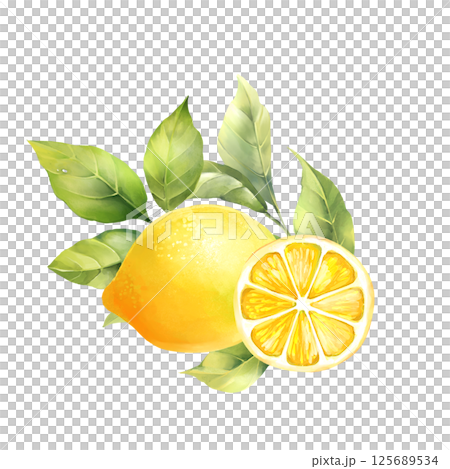 Hand-drawn illustration of a fresh lemon with green leaves and a juicy slice, perfect for summer themes and healthy food concepts. Hand-drawn illustration of a fresh lemon with green leaves and a juicy slice, perfect for summer themes and healthy food concepts. 125689534