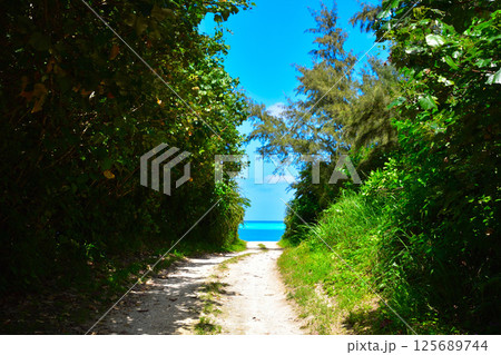 奄美群島 与論島 奄美群島 与論島 125689744