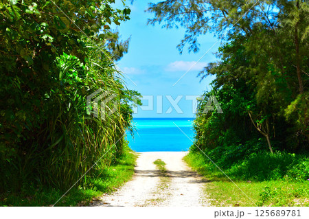 奄美群島　与論島　 125689781