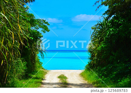 奄美群島　与論島　 125689783