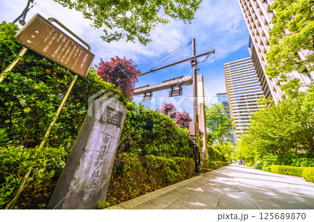 日本の東京都市景観 東京・大手町。「市内最初の並木」の碑。横にエンジュ木（上）＝5月1日 125689870