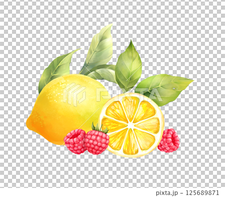 Hand-drawn illustration of a fresh lemon, raspberries, and green leaves, ideal for summer themes and healthy food concepts. Hand-drawn illustration of a fresh lemon, raspberries, and green leaves, ideal for summer themes and healthy food concepts. 125689871
