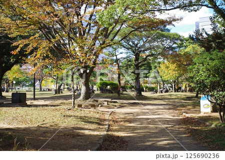 和歌山城公園の秋の景色 125690236
