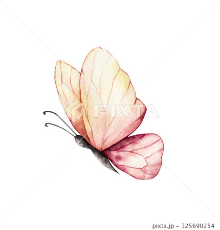 Beautiful colorful butterfly. Watercolor hand drawn insect clipart isolated on background, transparent png. Botanical and wedding illustration. Baby shower design elements. Party invitation, birthday Beautiful colorful butterfly. Watercolor hand drawn insect clipart isolated on background, transparent png. Botanical and wedding illustration. Baby shower design elements. Party invitation, birthday 125690254