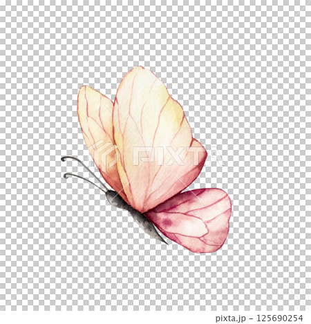 Beautiful colorful butterfly. Watercolor hand drawn insect clipart isolated on background, transparent png. Botanical and wedding illustration. Baby shower design elements. Party invitation, birthday Beautiful colorful butterfly. Watercolor hand drawn insect clipart isolated on background, transparent png. Botanical and wedding illustration. Baby shower design elements. Party invitation, birthday 125690254