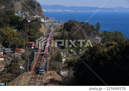 相模湾の絶景を背に東海道を下る貨物列車 125690576