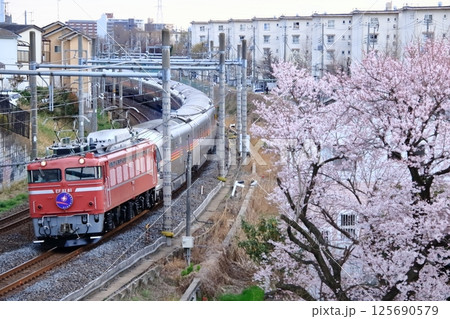 桜咲く沿線とカシオペア紀行の春ツアー 125690579