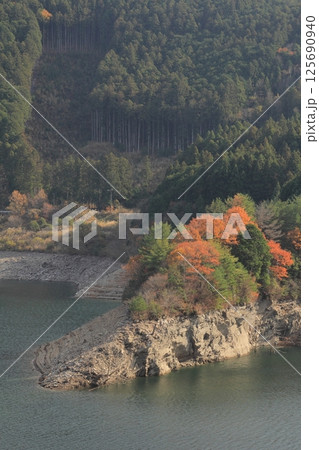 愛媛県四国中央市　銅山川周辺の紅葉 125690940