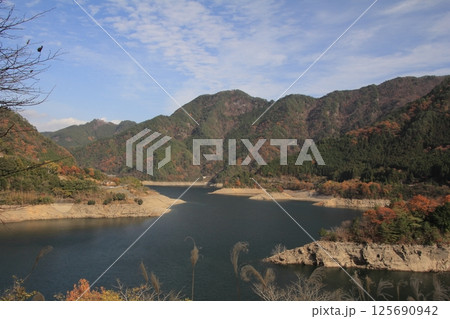 愛媛県四国中央市 銅山川周辺の紅葉 愛媛県四国中央市 銅山川周辺の紅葉 125690942