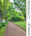 緑に囲まれた道 125690988