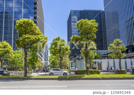 神奈川県横浜市の都市風景 新高島駅 神奈川県横浜市の都市風景 新高島駅 125691349