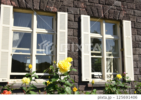 東京都旧古河庭園と薔薇 東京都旧古河庭園と薔薇 125691406