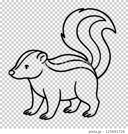 スカンクの線画イラスト、シンプル、アイコン、塗り絵、素材、背景なし 125691726