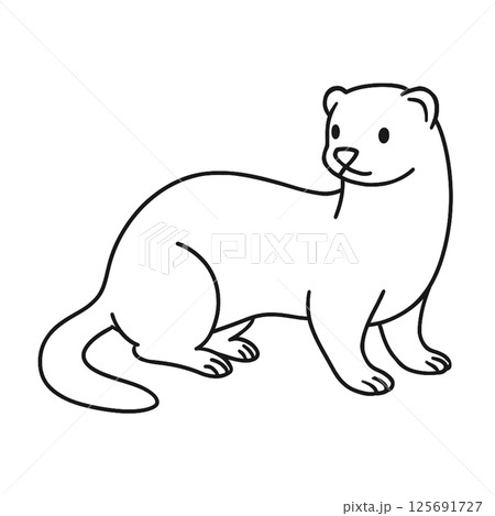 フェレットの線画イラスト、シンプル、アイコン、塗り絵、素材、背景なし 125691727