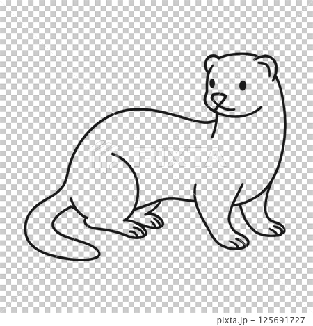 フェレットの線画イラスト、シンプル、アイコン、塗り絵、素材、背景なし 125691727