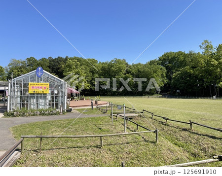 埼玉県南埼玉郡宮代町 新しい村 森の市場 埼玉県南埼玉郡宮代町 新しい村 森の市場 125691910