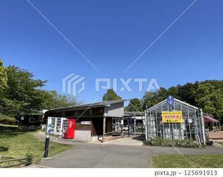 埼玉県南埼玉郡宮代町 新しい村 森の市場 埼玉県南埼玉郡宮代町 新しい村 森の市場 125691913