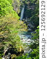 手鳥川 125692129