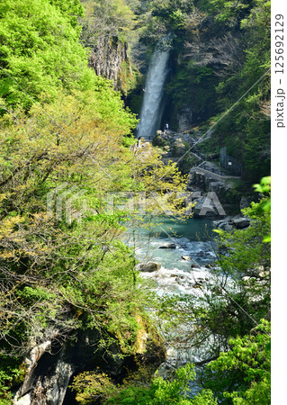 手鳥川 125692129