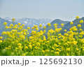 白山連峰 125692130