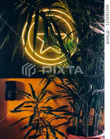 Neon star sign surrounded by tropical plants creating exotic ambient background 125692349