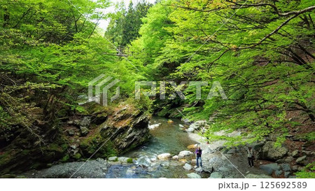 新緑に包まれた秘境の橋 125692589