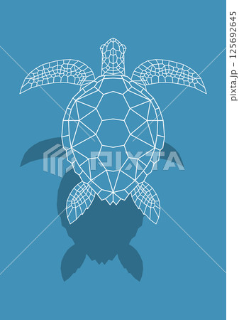 ウミガメ ウミガメ 125692645