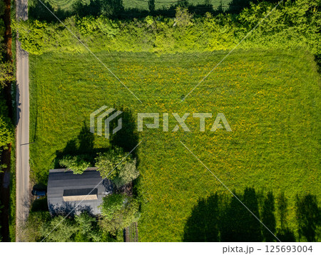 Aerial View of a Lush Green Field Surrounded by a House and Abundant Trees in Nature 125693004