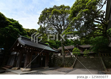 美保神社の景色 美保神社の景色 125693077