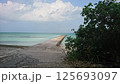 海へ続く道 125693097
