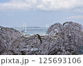 春の鳴門大橋 125693106