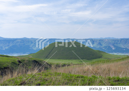 緑一色に染まった初夏の米塚(阿蘇市) 緑一色に染まった初夏の米塚(阿蘇市) 125693134