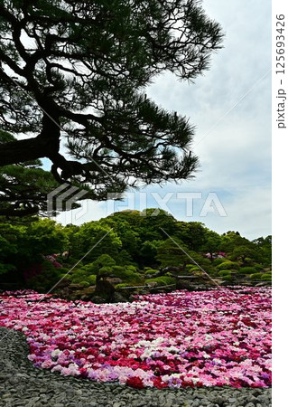 由志園の景色 125693426