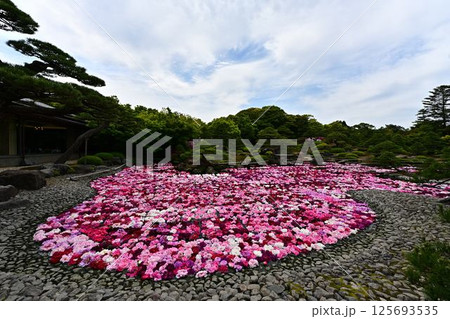由志園の景色 由志園の景色 125693535