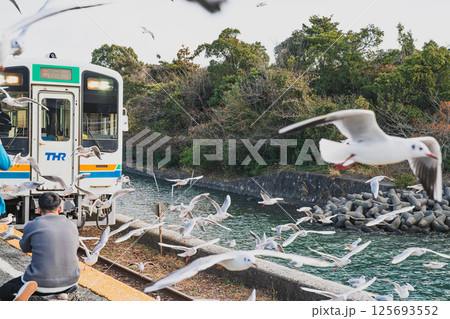 浜松市にある天竜浜名湖鉄道の浜名湖佐久米駅で飛び交うカモメたちと電車の風景(静岡県) 125693552