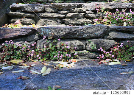 大野教会 125693995