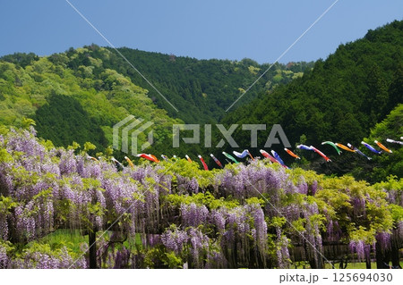 鯉のぼり 125694030