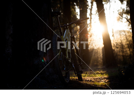 Mountain Bike and Trail in Australia 125694053