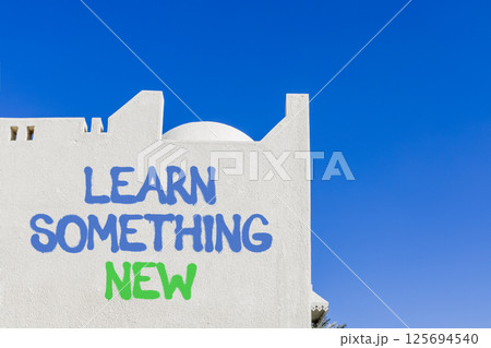 Learn something new symbol. Concept words Learn something new on beautiful white wall. Beautiful white wall blue sky background. Business motivational lifestyle learn something new concept. Copy space 125694540