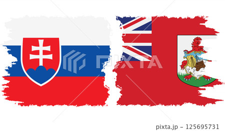 Bermuda and Slovakia grunge flags connection vector 125695731