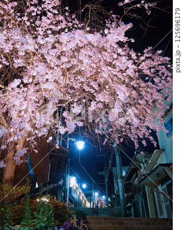 【奈良県生駒市/宝山寺参道】摩波楽茶屋前・春夜を彩る枝垂れ桜 【奈良県生駒市/宝山寺参道】摩波楽茶屋前・春夜を彩る枝垂れ桜 125696179