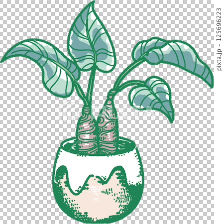 葉子植物的例證 125696223