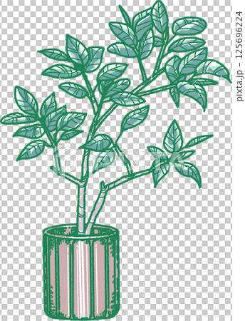 葉子植物的例證 125696224