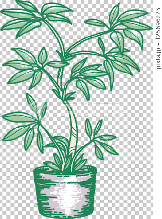 葉子植物的例證 125696225
