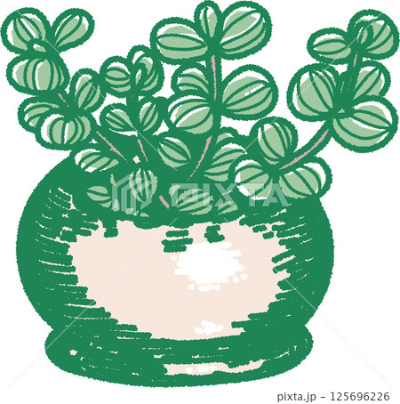 観葉植物のイラスト 125696226