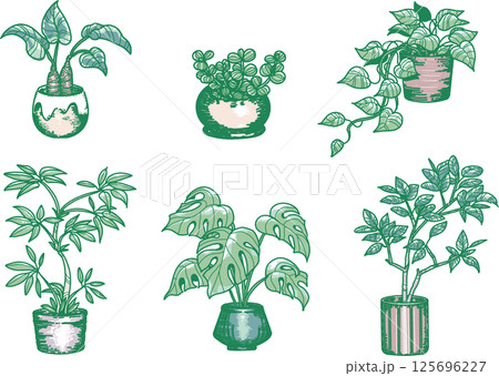 観葉植物のイラストセット 125696227