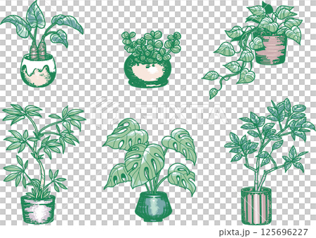 観葉植物のイラストセット 125696227