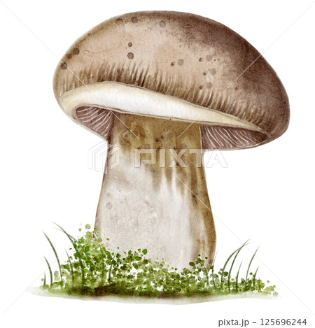 Autumn watercolor mushroom surrounded by lush green grass design for textiles and wrapping 125696244