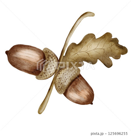 Beautiful autumn acorns and oak leaves watercolor pattern for textile and wrapping projects Beautiful autumn acorns and oak leaves watercolor pattern for textile and wrapping projects 125696255