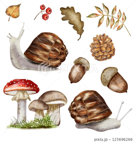 Watercolor autumn pattern featuring snails, mushrooms, and leaves for textile design 125696266